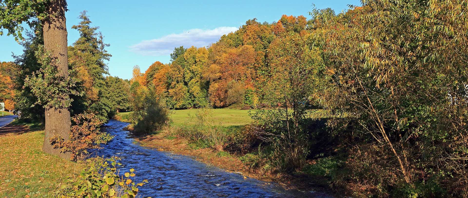 Goldener Herbst im Müglitztal am letzten Sonnabend...