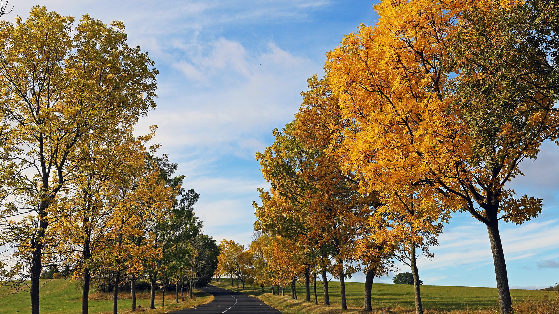 Goldener Herbst im Osterzgebirge nur gestern Vormittag...