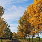 Goldener Herbst im Osterzgebirge nur gestern Vormittag...