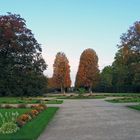 Goldener Herbst im Pillnitzer Schlosspark und...