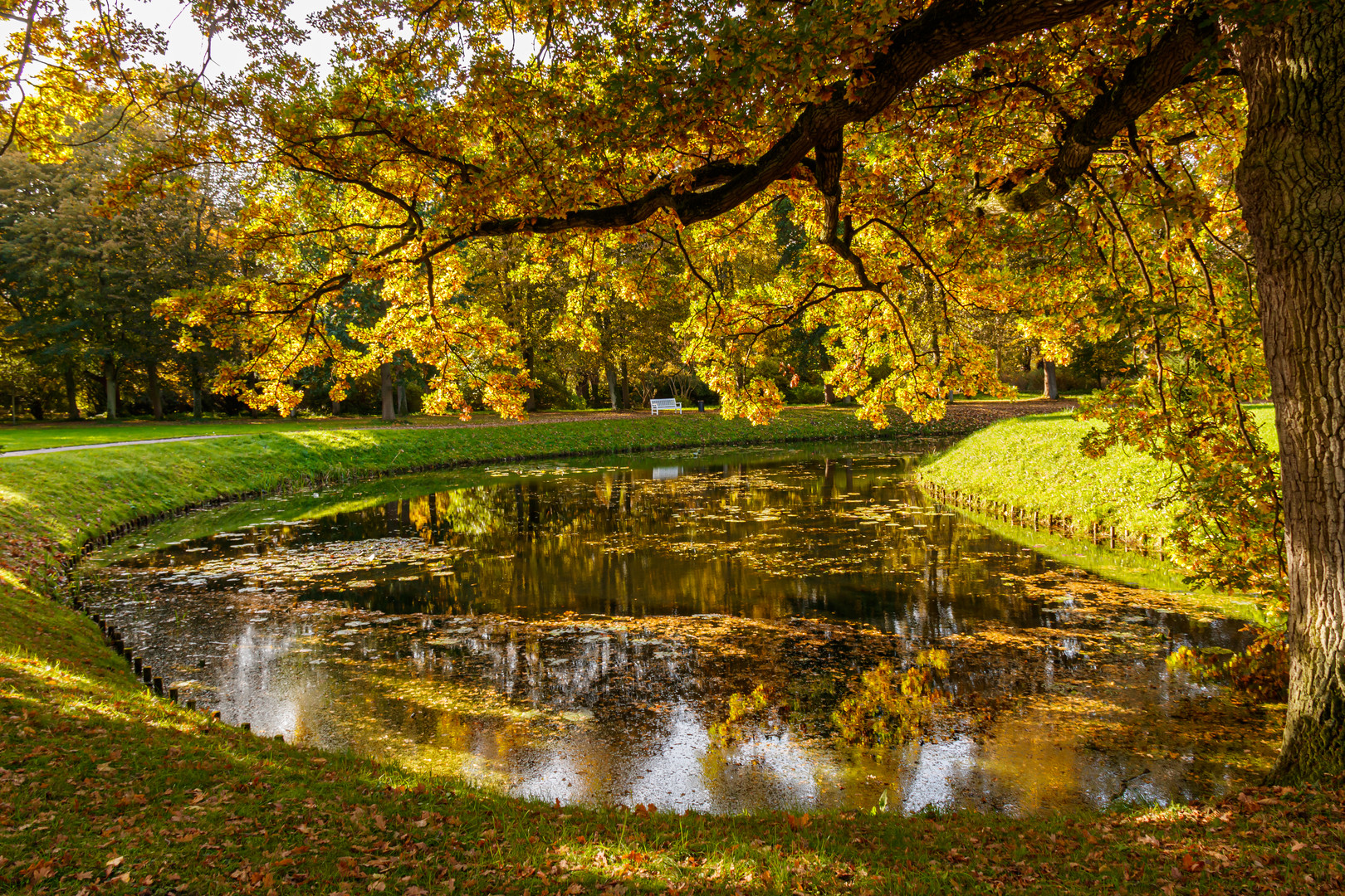 Goldener Herbst im Schlosspark Bothmer