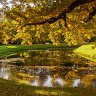Goldener Herbst im Schlosspark Bothmer