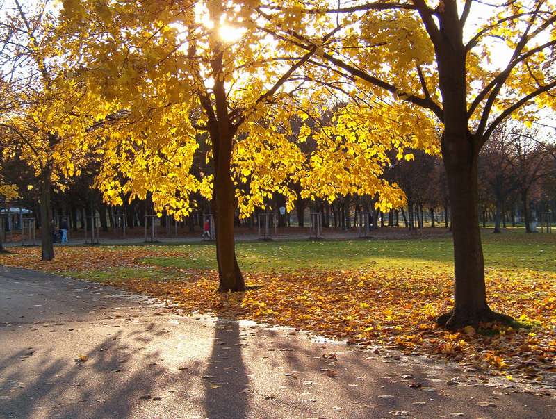 Goldener Herbst im Schlosspark Schwerin