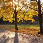 Goldener Herbst im Schlosspark Schwerin