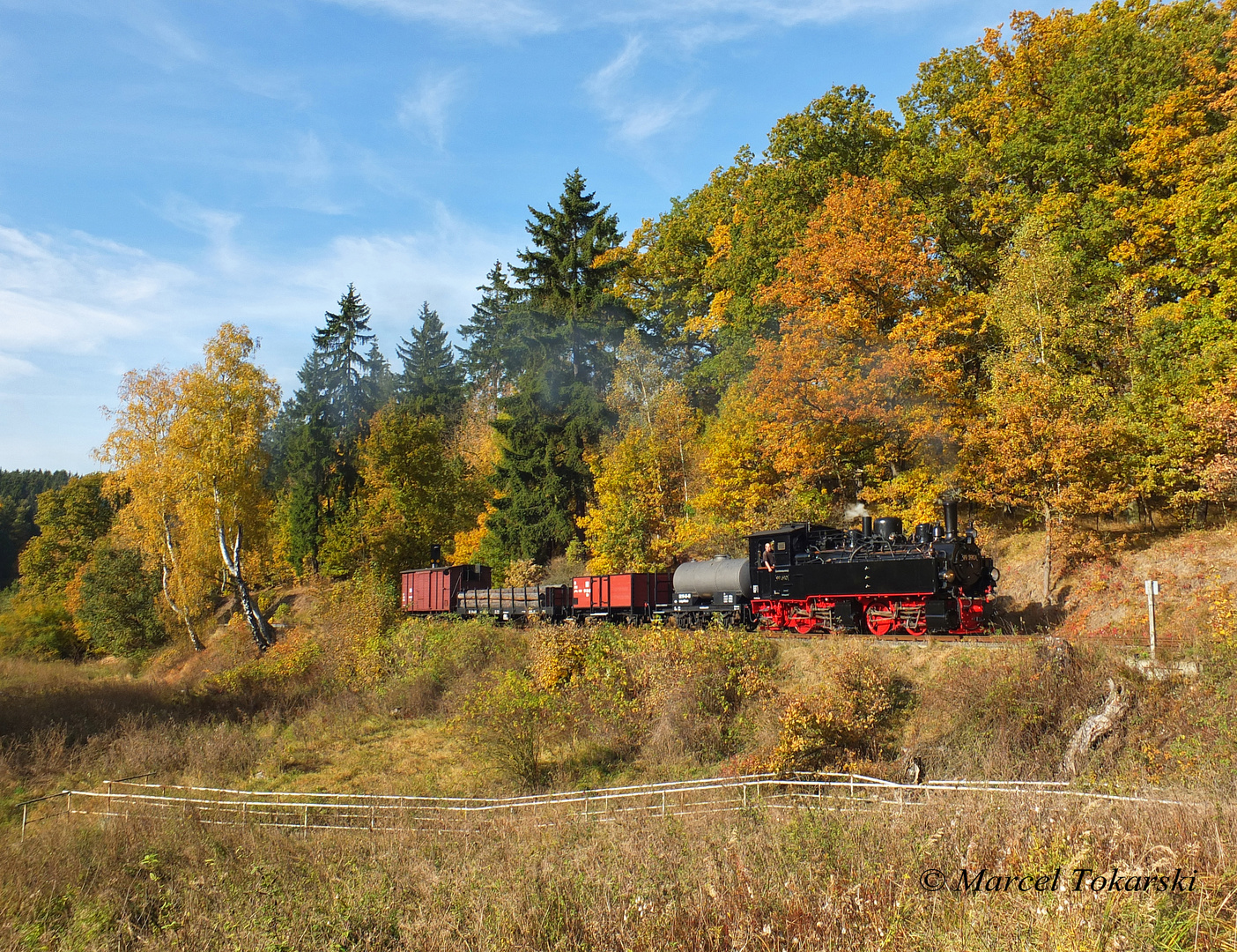 Goldener Herbst im Selketal