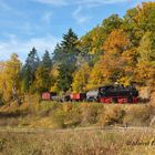 Goldener Herbst im Selketal