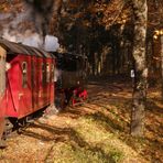 Goldener Herbst im Selketal.