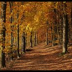 Goldener Herbst im Siegerland