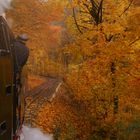 Goldener Herbst im Südharz 1.