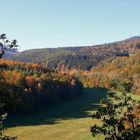 Goldener Herbst im Thüringer Wald