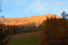 Goldener Herbst im wahrsten Sinne des Wortes