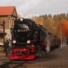 Goldener Herbst in Alexisbad 2.