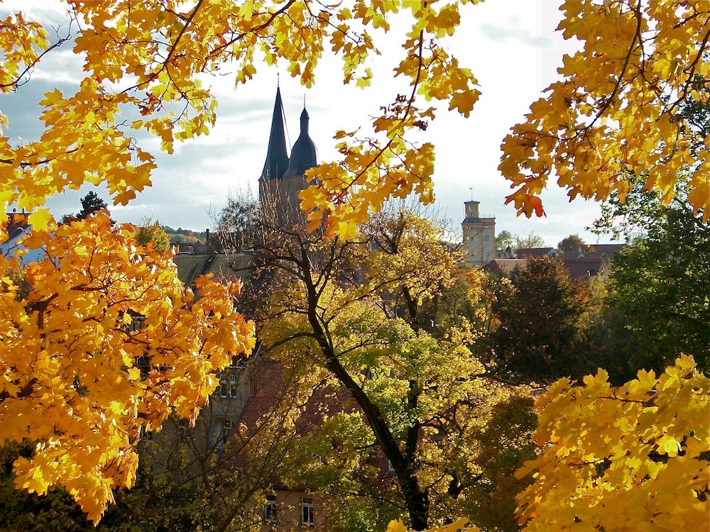 goldener Herbst in Altenburg