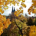 goldener Herbst in Altenburg