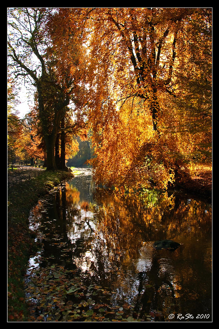 Goldener Herbst in Bad Muskau