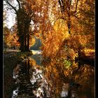 Goldener Herbst in Bad Muskau