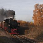 Goldener Herbst in Bad Suderode.