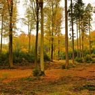 Goldener Herbst in Bayern 