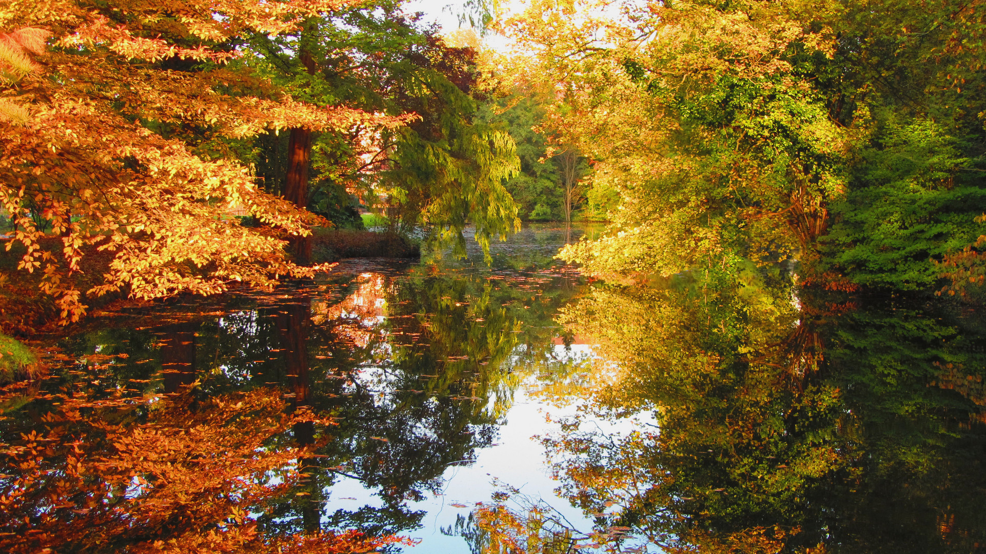 Goldener Herbst in Bonn