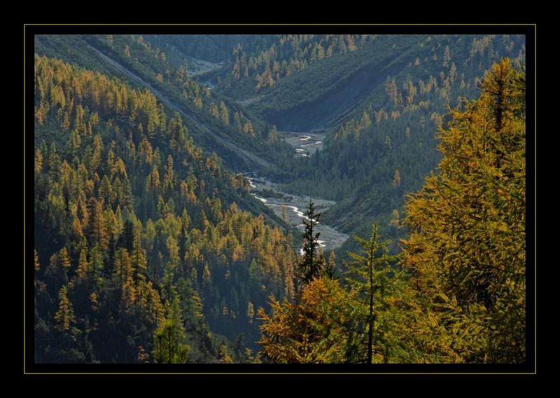 Goldener Herbst in den Alpen