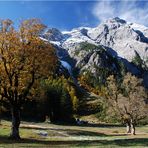 Goldener Herbst in den Alpen