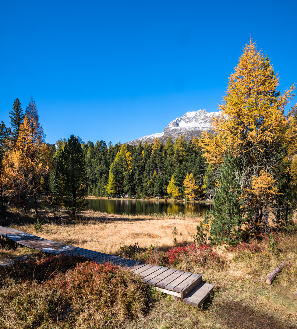 Goldener Herbst in den Bergen