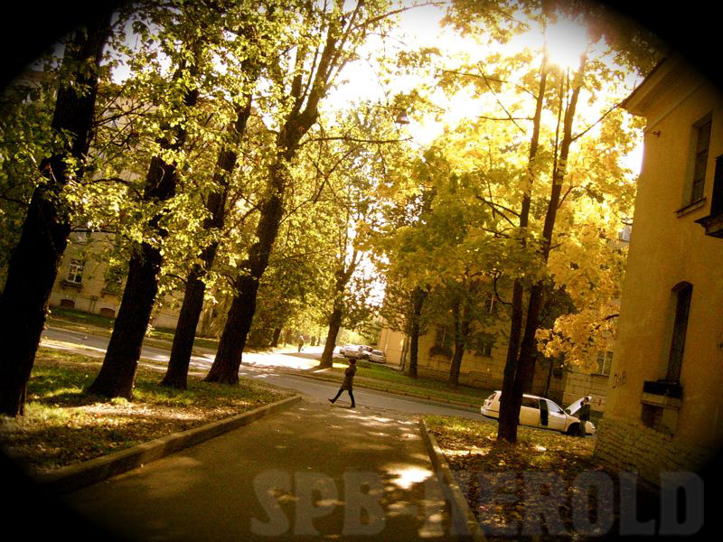 Goldener Herbst in den Hinterhöfen