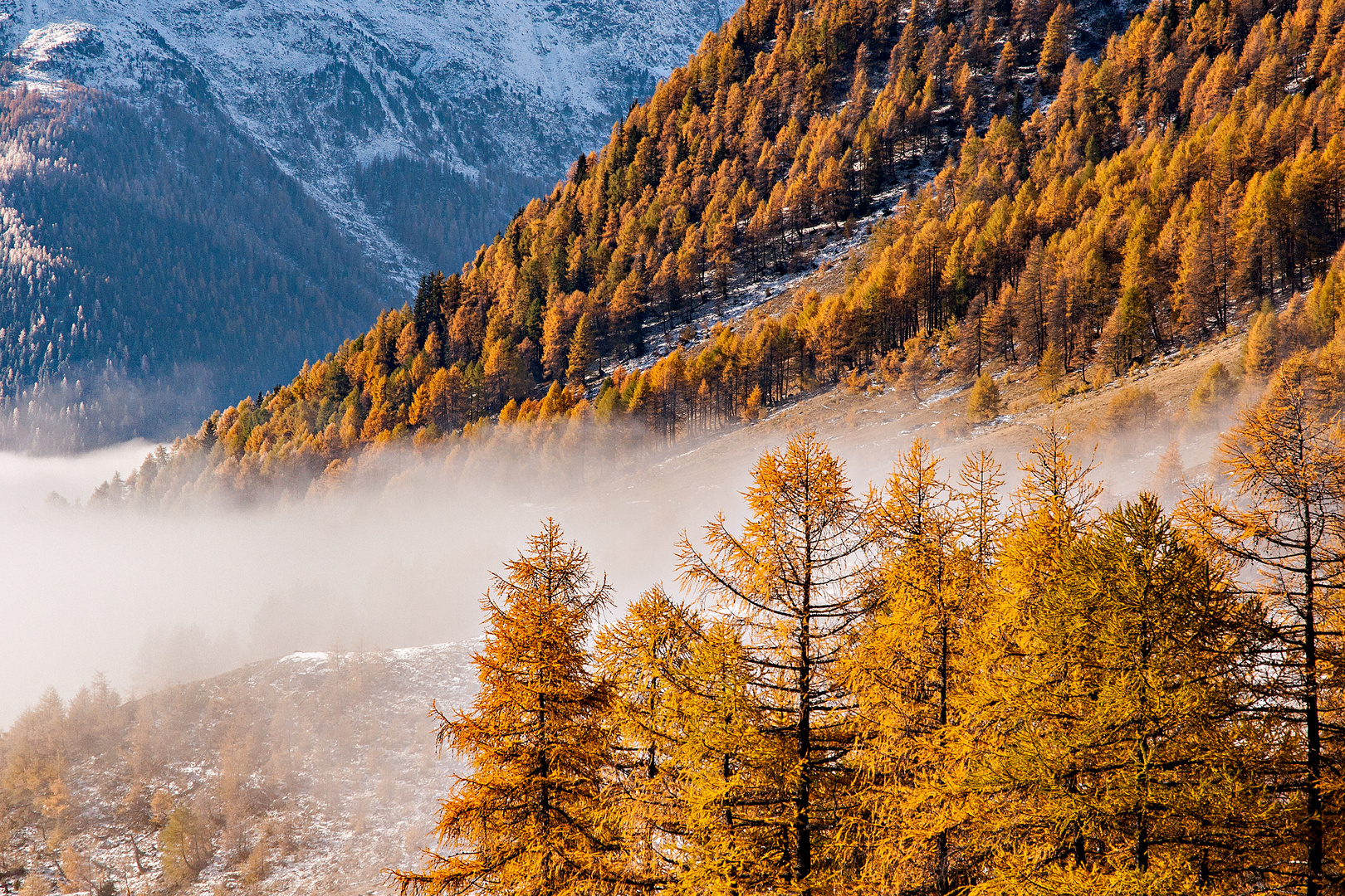 Goldener Herbst in den Schweizer Alpen 