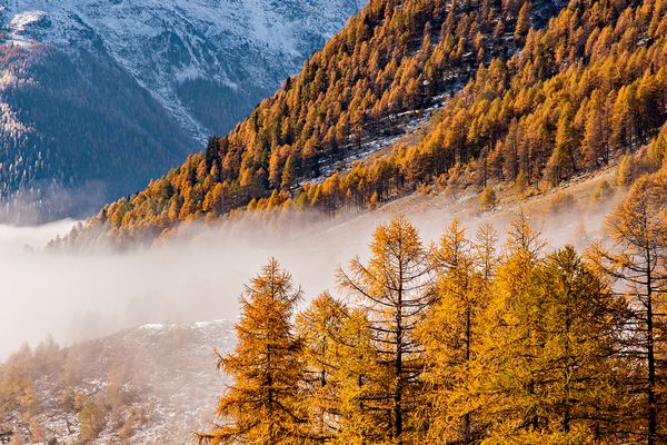 Goldener Herbst in den Schweizer Alpen 