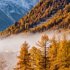 Goldener Herbst in den Schweizer Alpen
