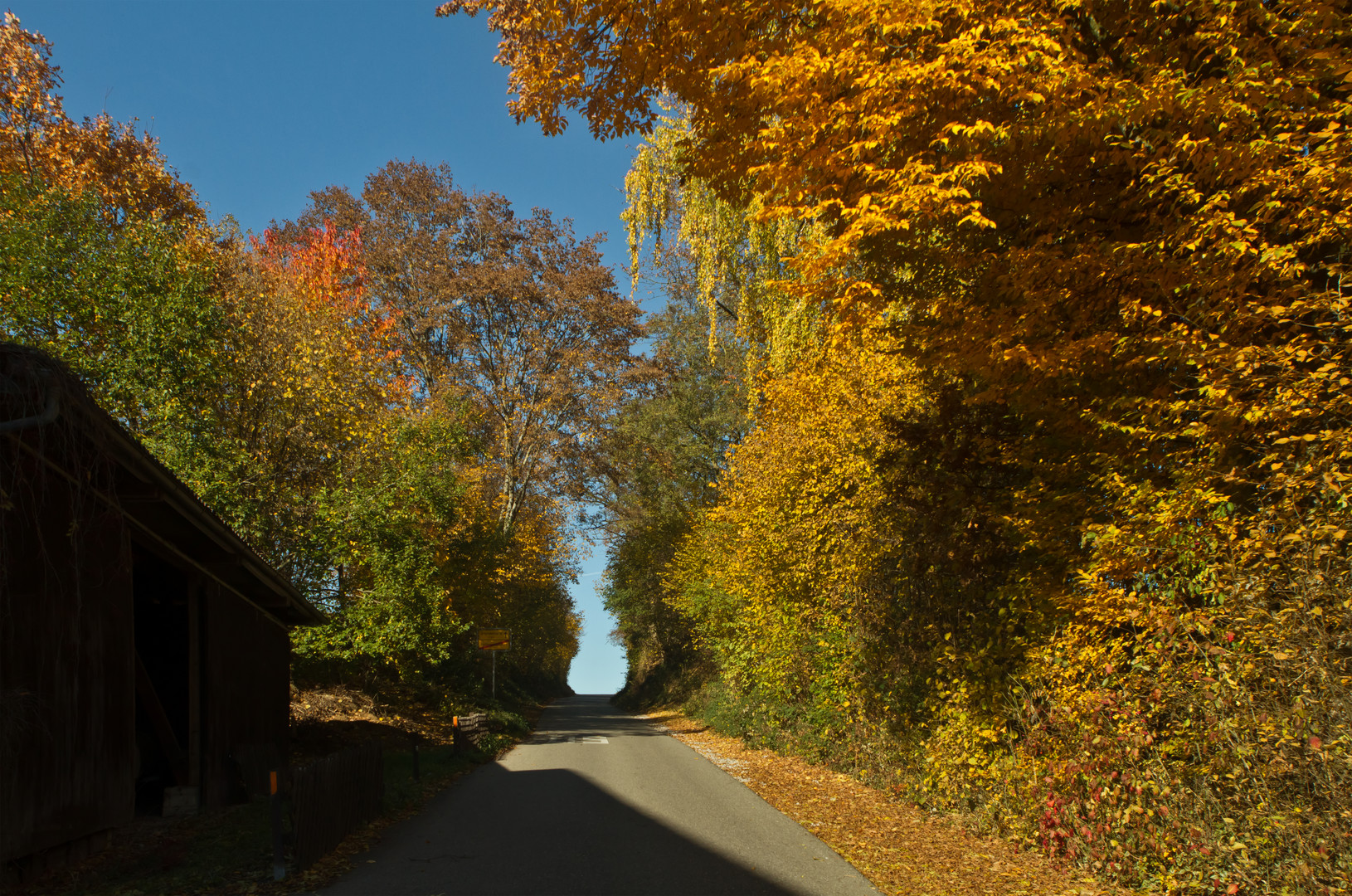 Goldener Herbst in der Hohlgasse