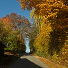 Goldener Herbst in der Hohlgasse