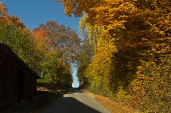 Goldener Herbst in der Hohlgasse