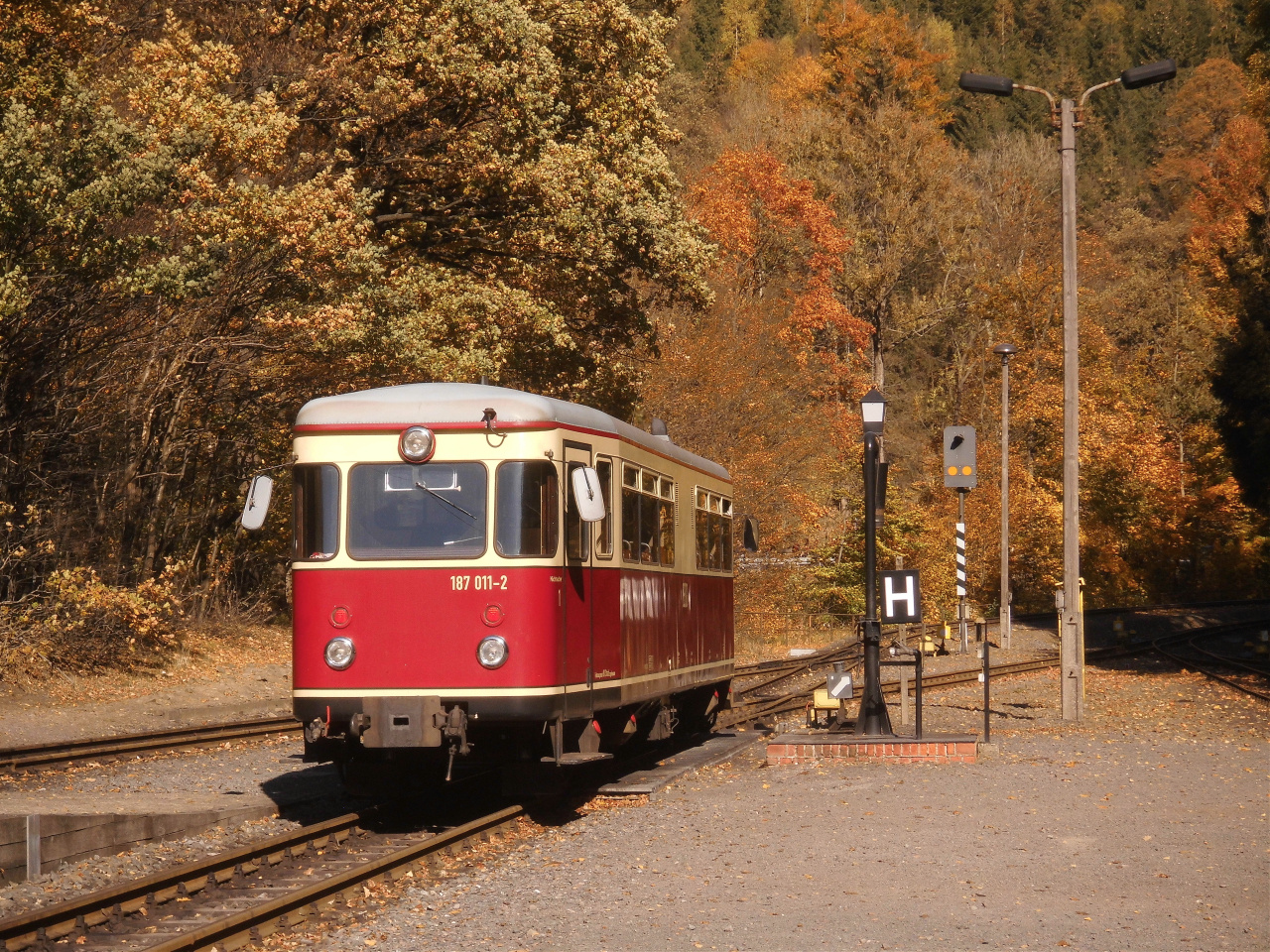 Goldener Herbst in Eisfelder Talmühle 1.