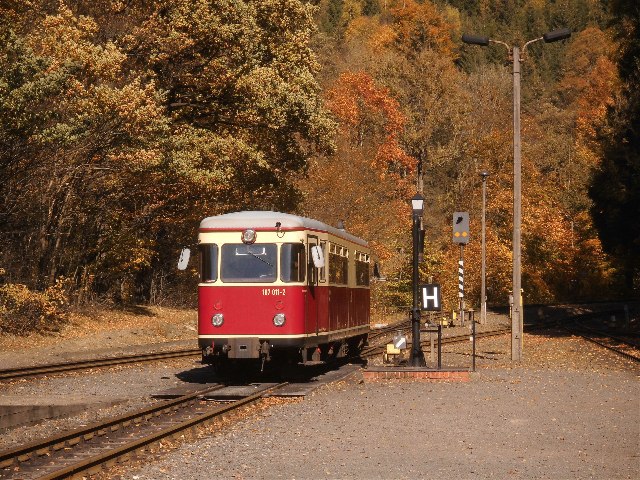 Goldener Herbst in Eisfelder Talmühle 2.