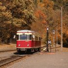 Goldener Herbst in Eisfelder Talmühle 2.