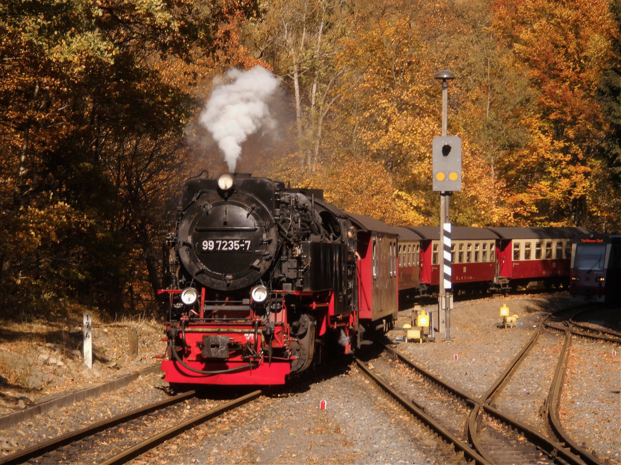 Goldener Herbst in Eisfelder Talmühle 3.