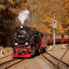 Goldener Herbst in Eisfelder Talmühle 3.