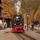 Goldener Herbst in Eisfelder Talmühle 4.