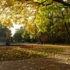 Goldener Herbst in Franken