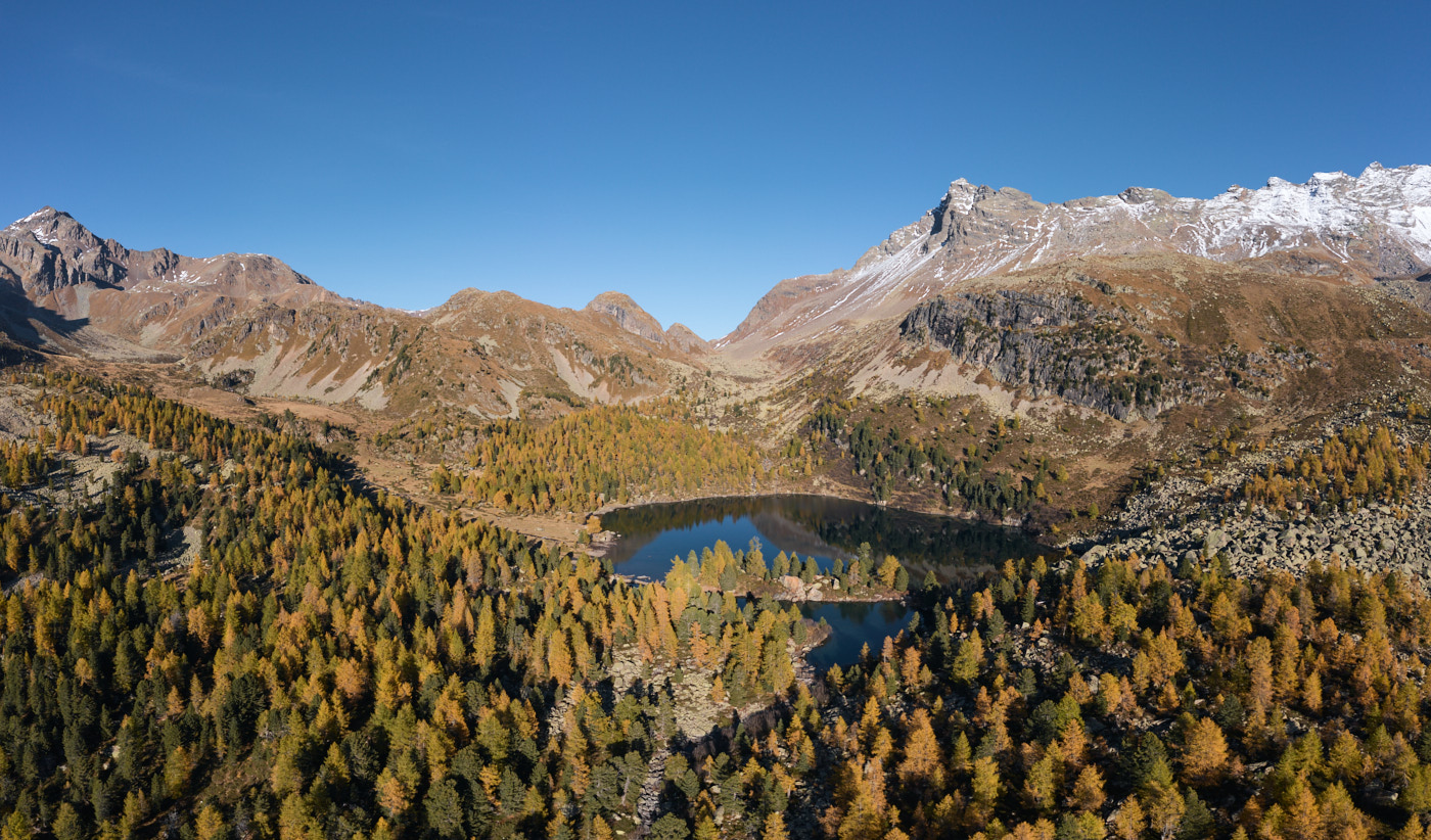 Goldener Herbst in Graubünden