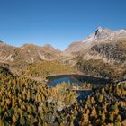 Goldener Herbst in Graubünden