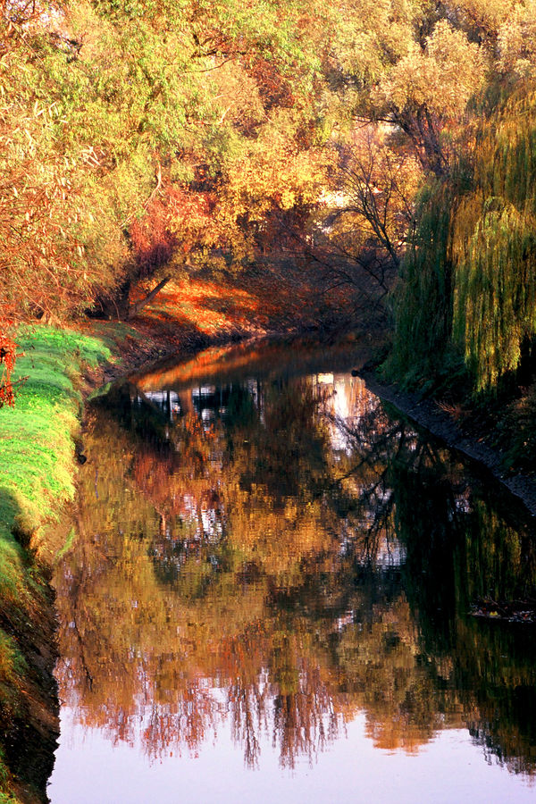 Goldener Herbst in Györ