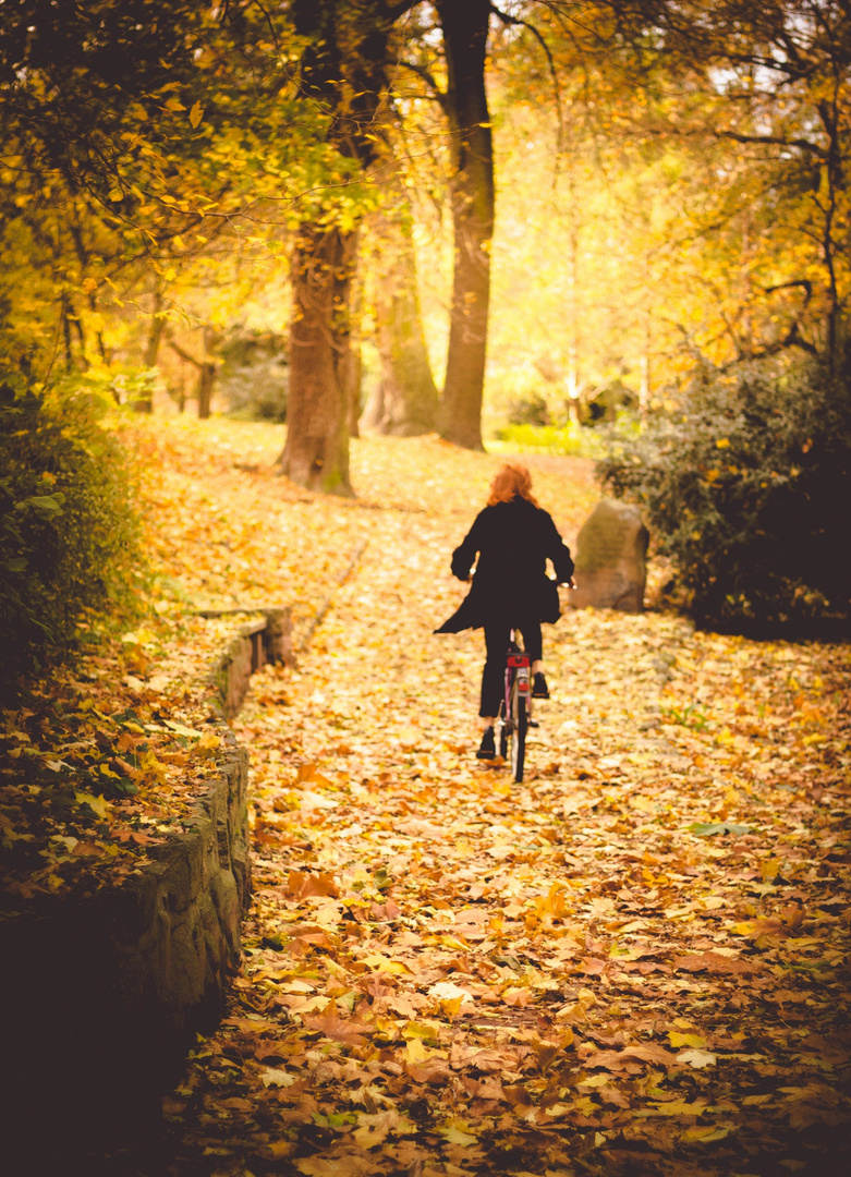 Goldener Herbst in Halle.