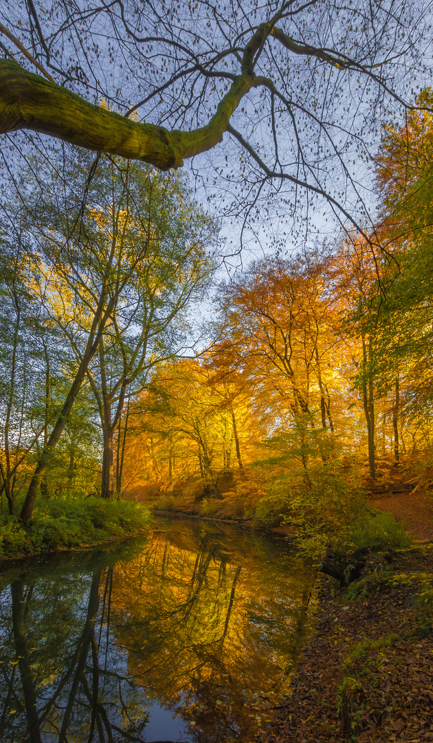 Goldener Herbst in Hamburg (2018)