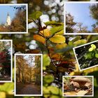 goldener Herbst in Ingolstadt