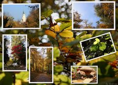 goldener Herbst in Ingolstadt