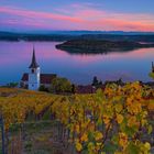 Goldener Herbst in Ligerz