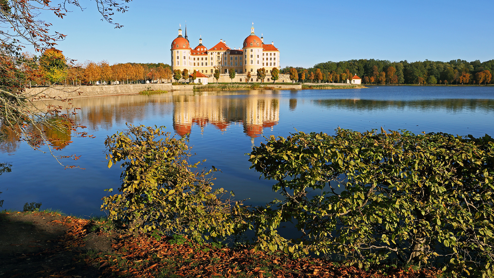 Goldener Herbst in Moritzburg auch beim Schloss...