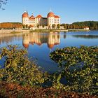 Goldener Herbst in Moritzburg auch beim Schloss...